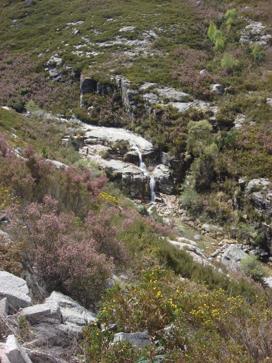 [DSC01299+[Desktop+Resolution].JPG]