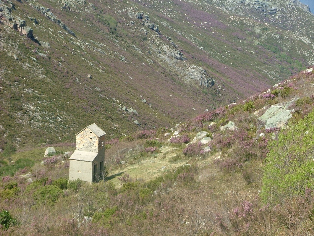 [DSC01323+[DSCF1277].JPG]