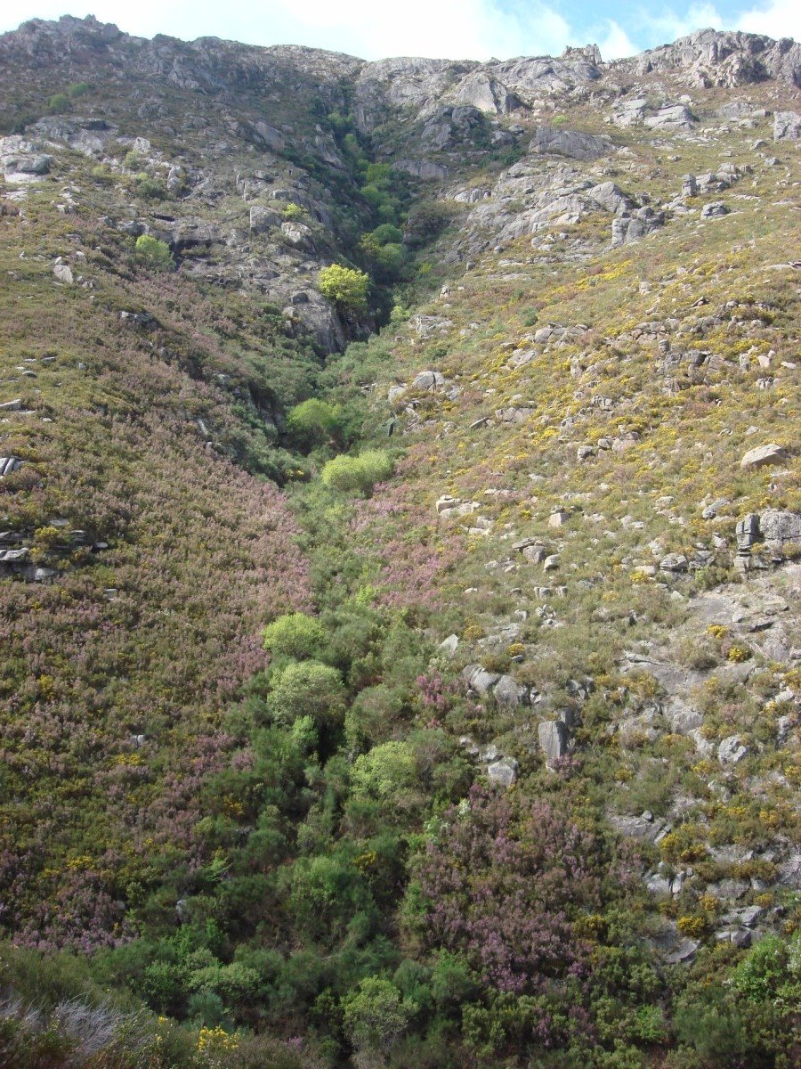 [DSC01280+[Desktop+Resolution].JPG]