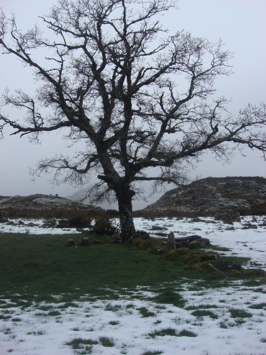 [DSC02980+[Desktop+Resolution].JPG]