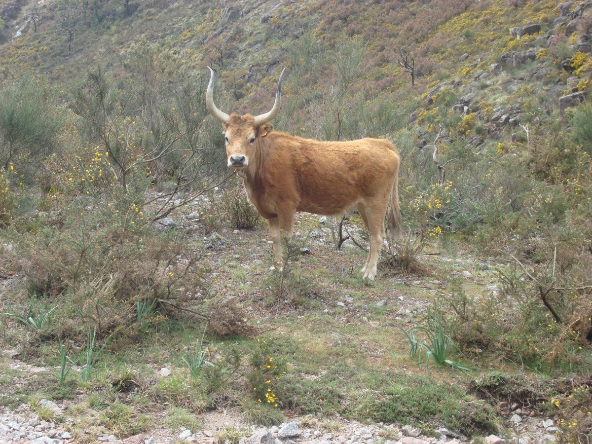 [DSC02824+[Desktop+Resolution].JPG]