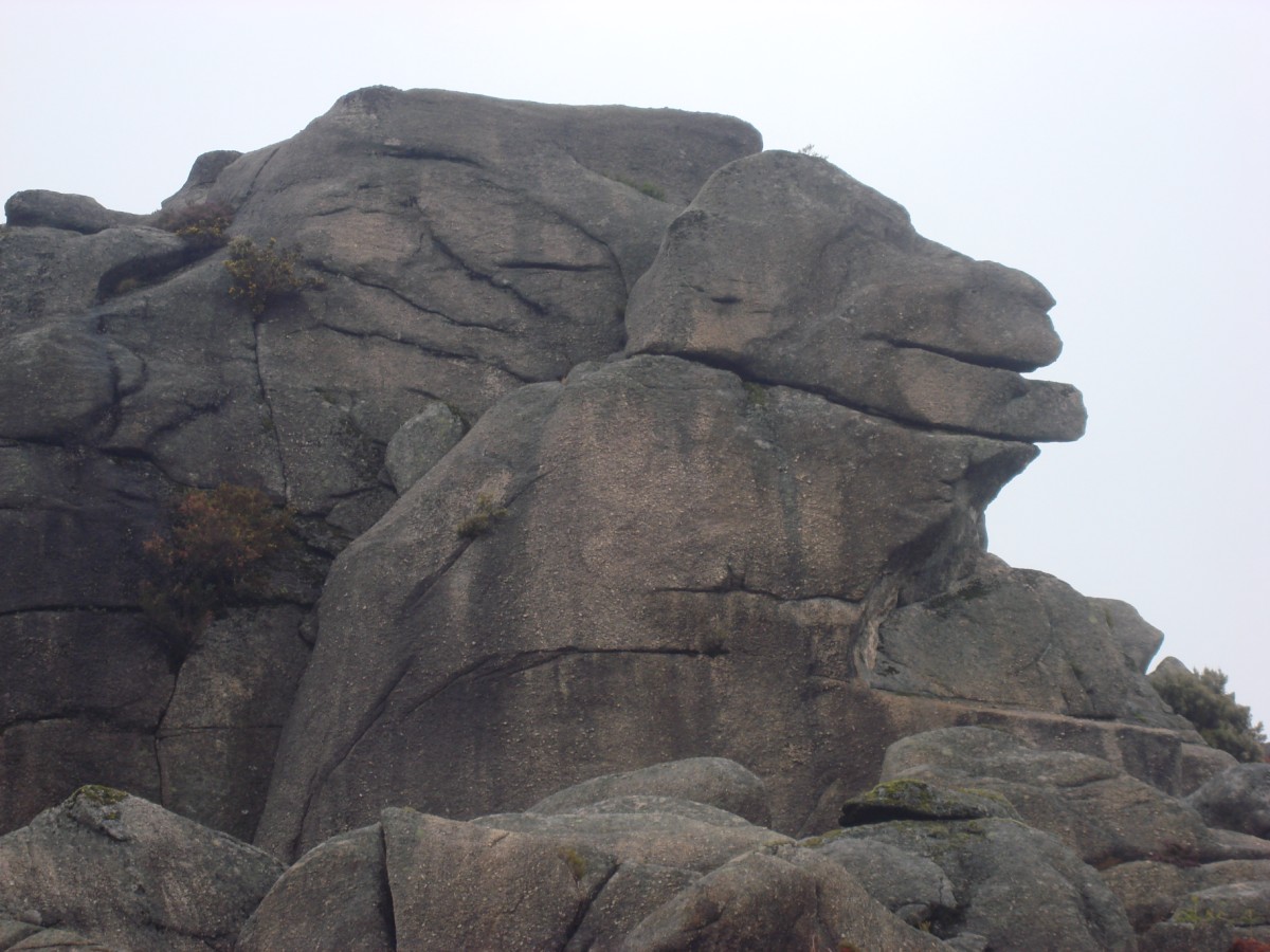 [DSC02744+[Desktop+Resolution].JPG]