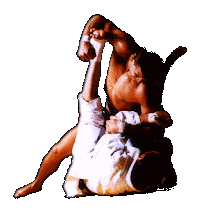 Paixão pelo esporte!