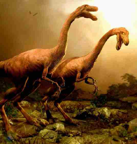[dinosaurs.jpg]