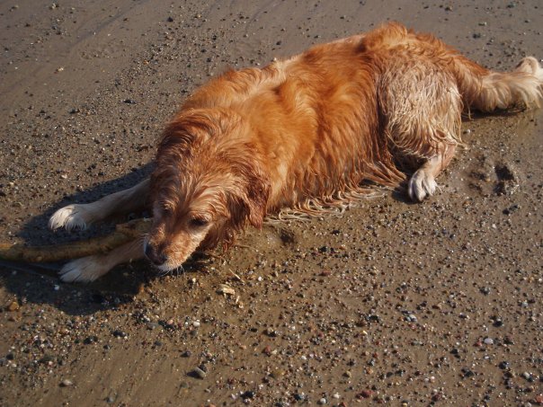 [Maggie+beach.jpg]