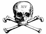 [crusoeskull.jpg]