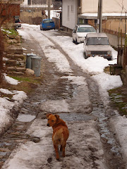 Veliko Tarnovo