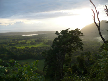 Vista del Gran Río Térraba  y la desembocadura al mar