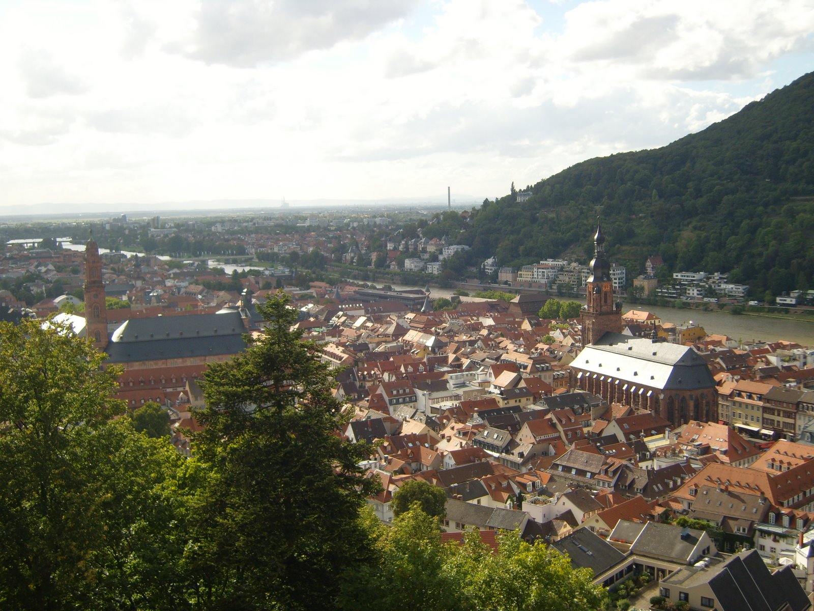 [Heidelberg+(210).jpg]