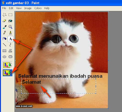 Edit Gambar Background