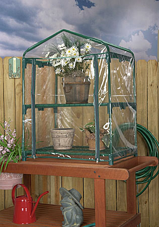 for a Green House Kit on a