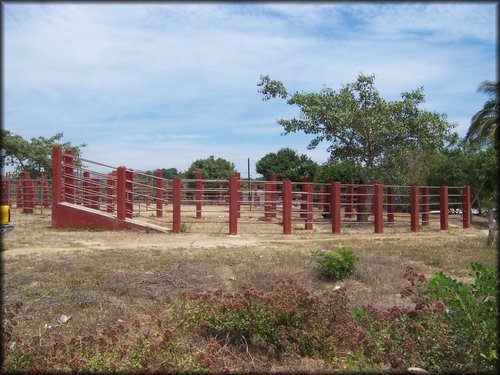 corral.