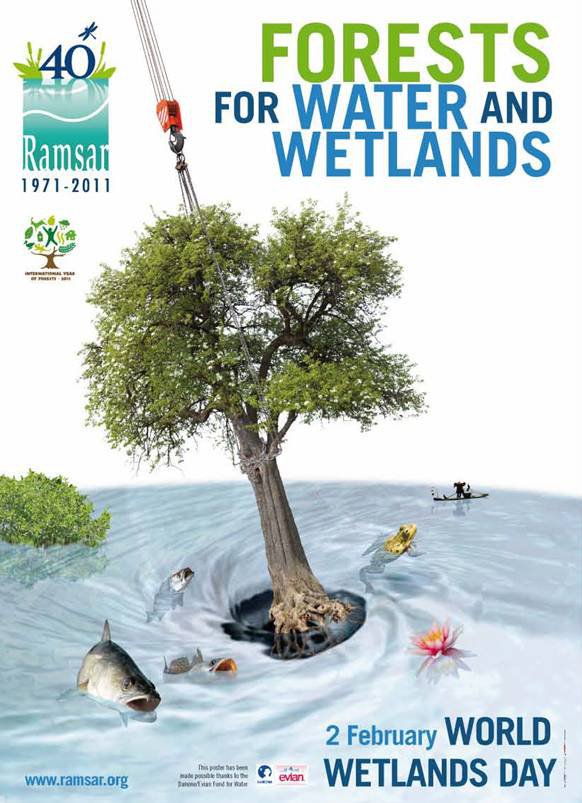 "Wetlands and Forests": the theme for "Wetlands and Forests": the theme for