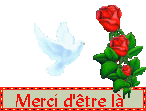 [colombe.gif]