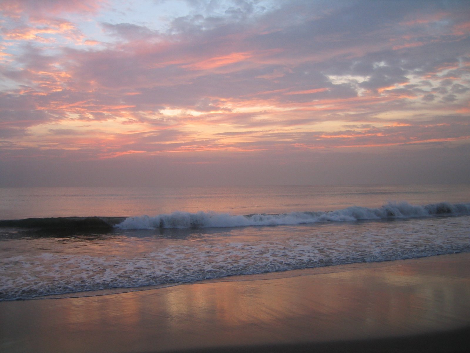 [IMG_4491.JPG]