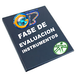 FASE DE EVALUACIÓN - INSTRUMENTOS