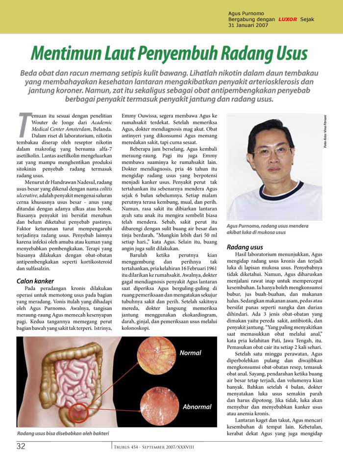 [USUS+NEW+SEPTEMBE2007.jpg]