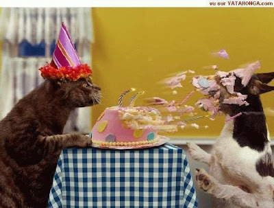I'd hate to see this happen to my good friend Joe. HAPPY BIRTHDAY JOE! I'd hate to see this happen to my good friend Joe. HAPPY BIRTHDAY JOE!
