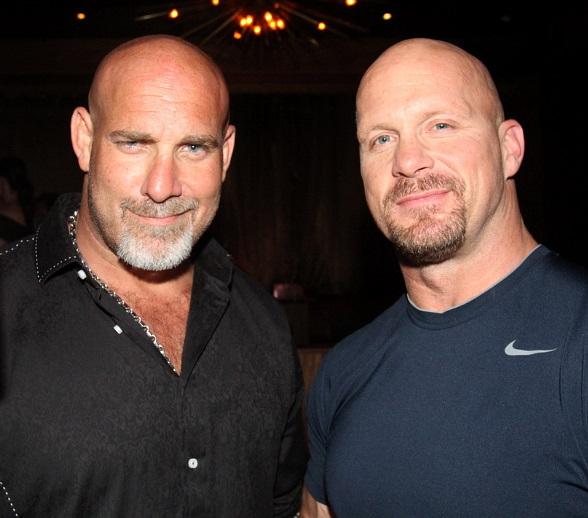 The Archives for SteveAustinWeb.com | Visit SteveAustinWeb.com