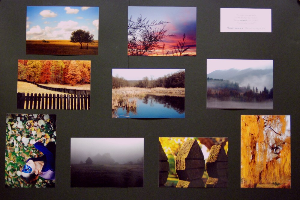 [11_MITITELU_Dan_DSC_7380.jpg]