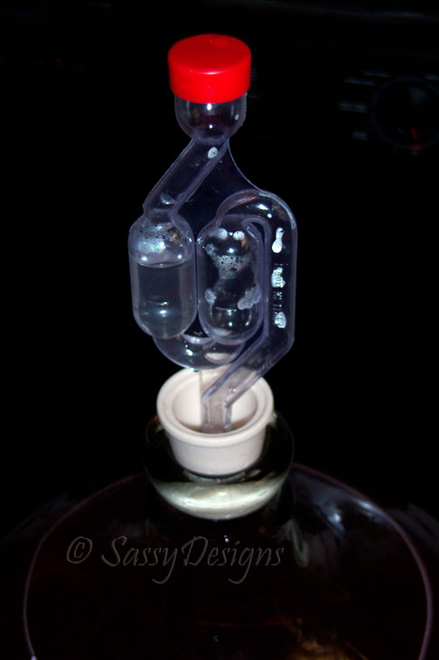 [TempranilloTransfer6.jpg]