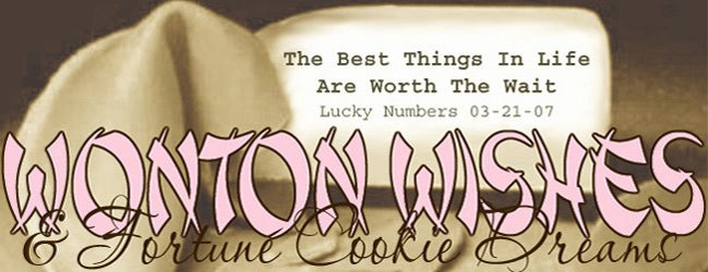 Wonton Wishes And Fortune Cookie Dreams