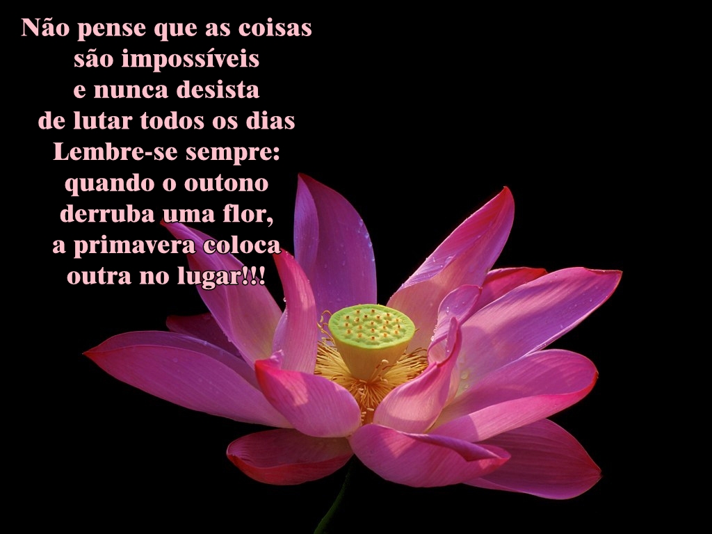 [Flor+26.jpg]