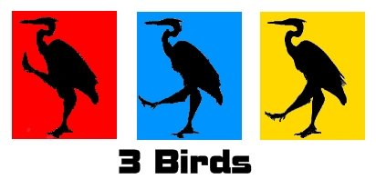 3 birds