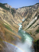 7/28/08: The Grand Canyon of Yellowstone