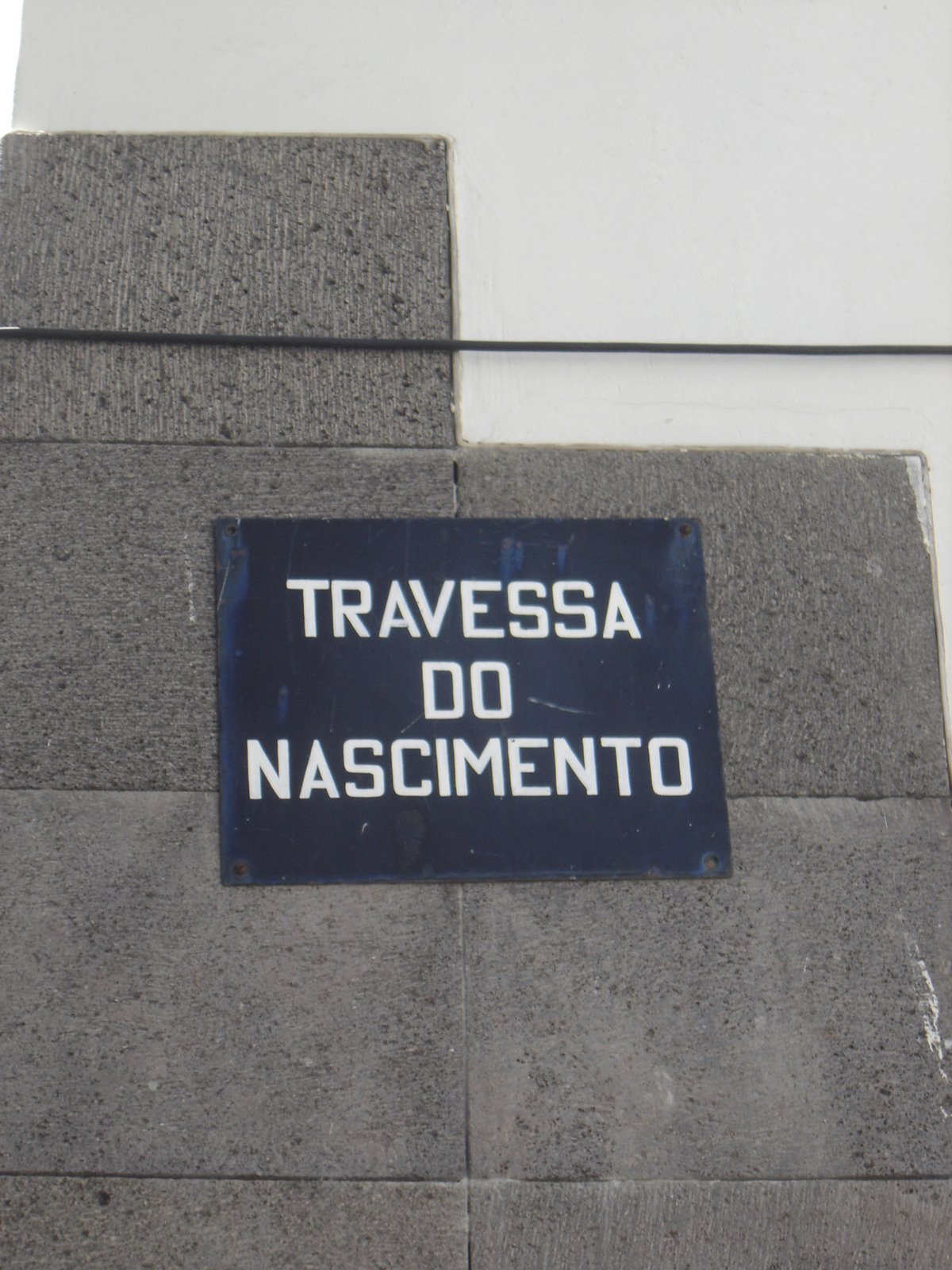 [TAPETE+FLORES++FUNCHAL+211.JPG]