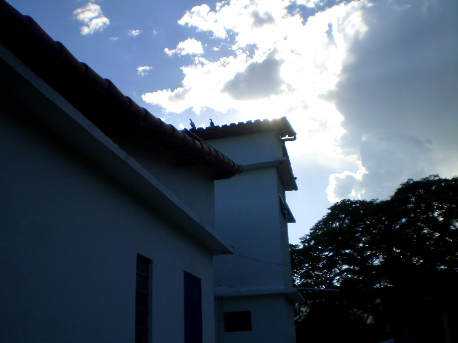 [P6144197.JPG]