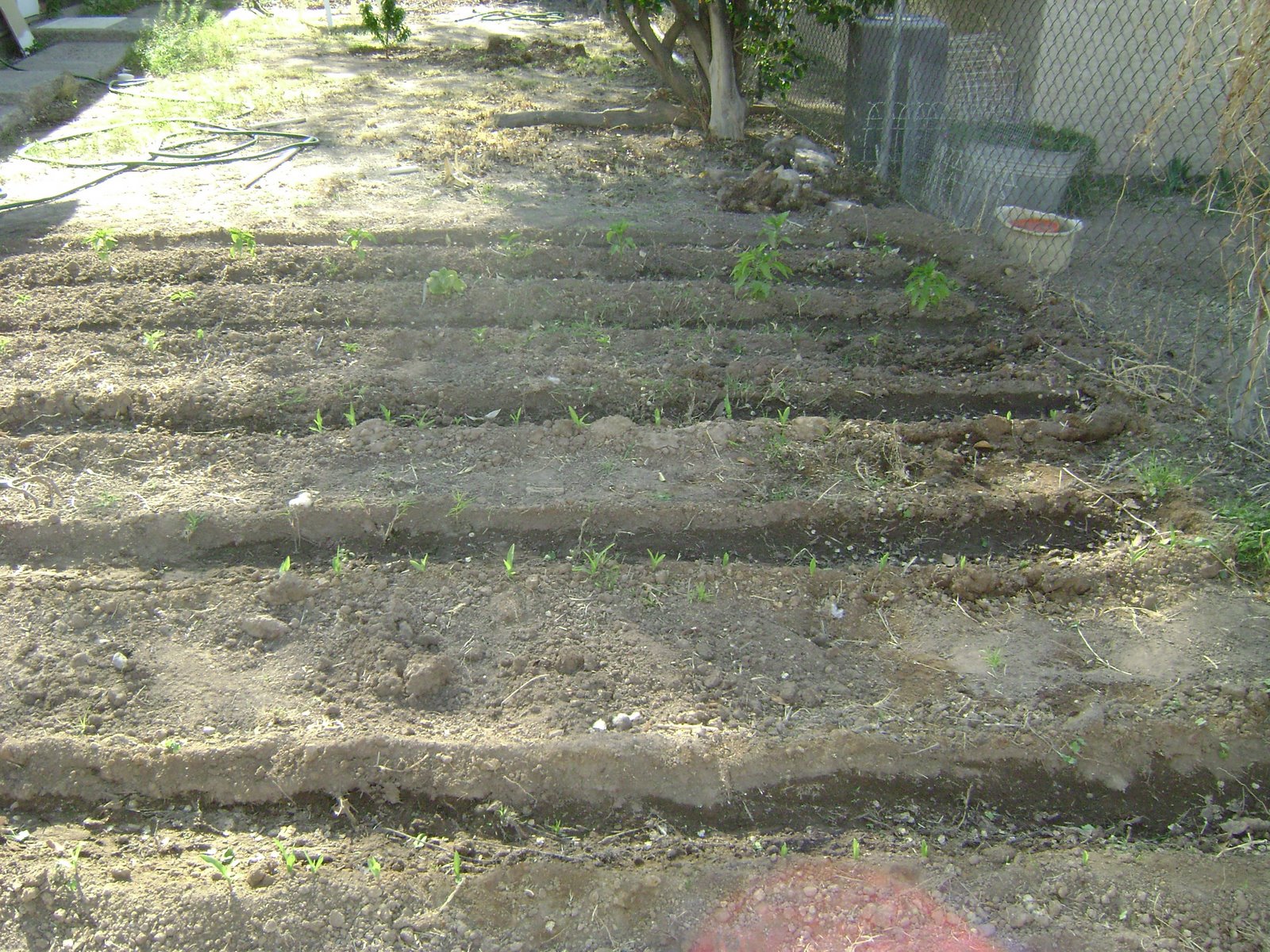 [DSC00454.JPG]