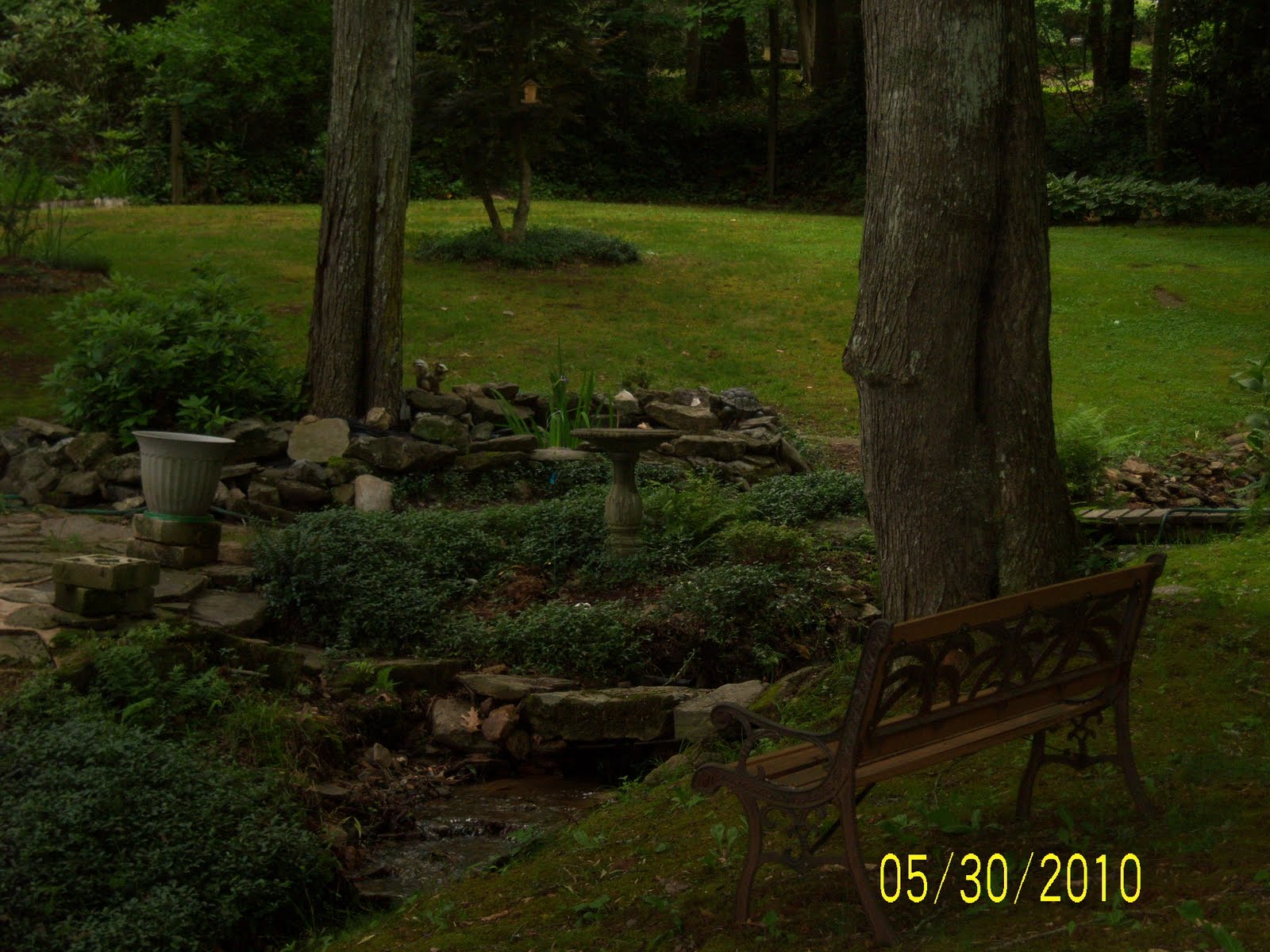 The Simple Life: November 2010