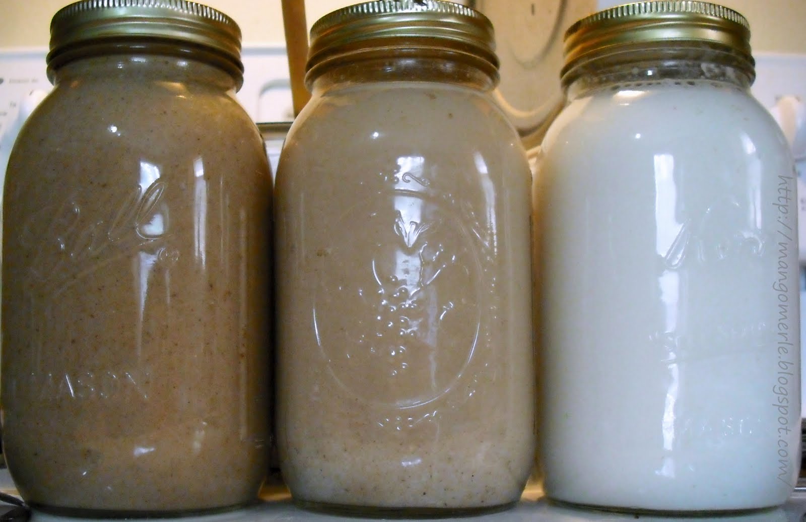 + mangomerle + Recipe Friday Rice Milk