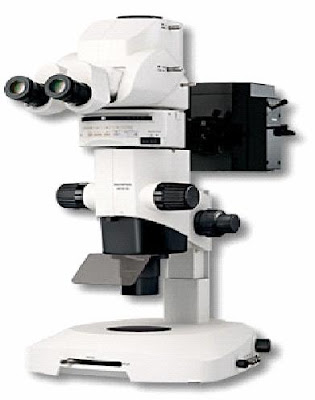 Microscopio de Fluorescencia
