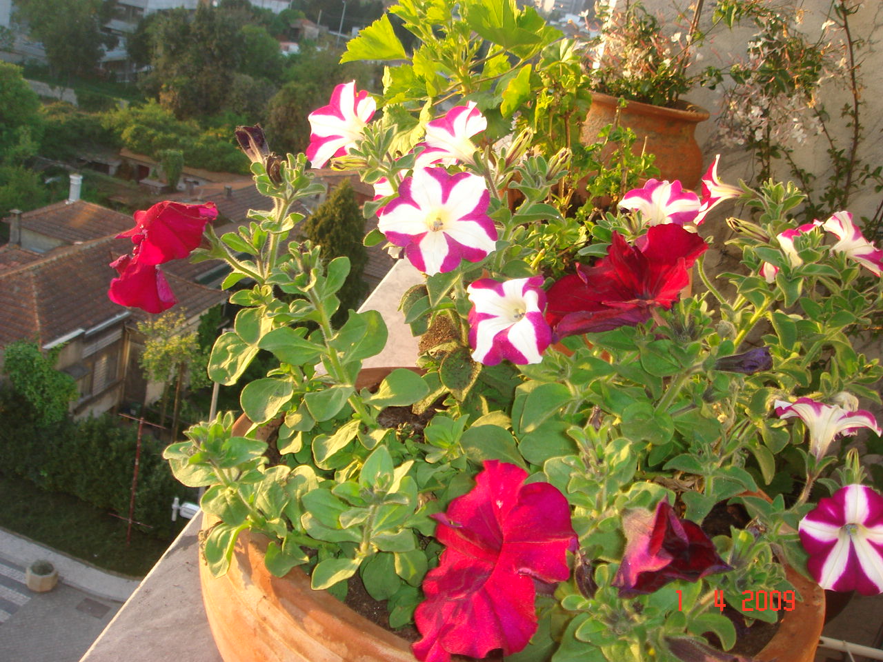 [DSC07928.JPG]