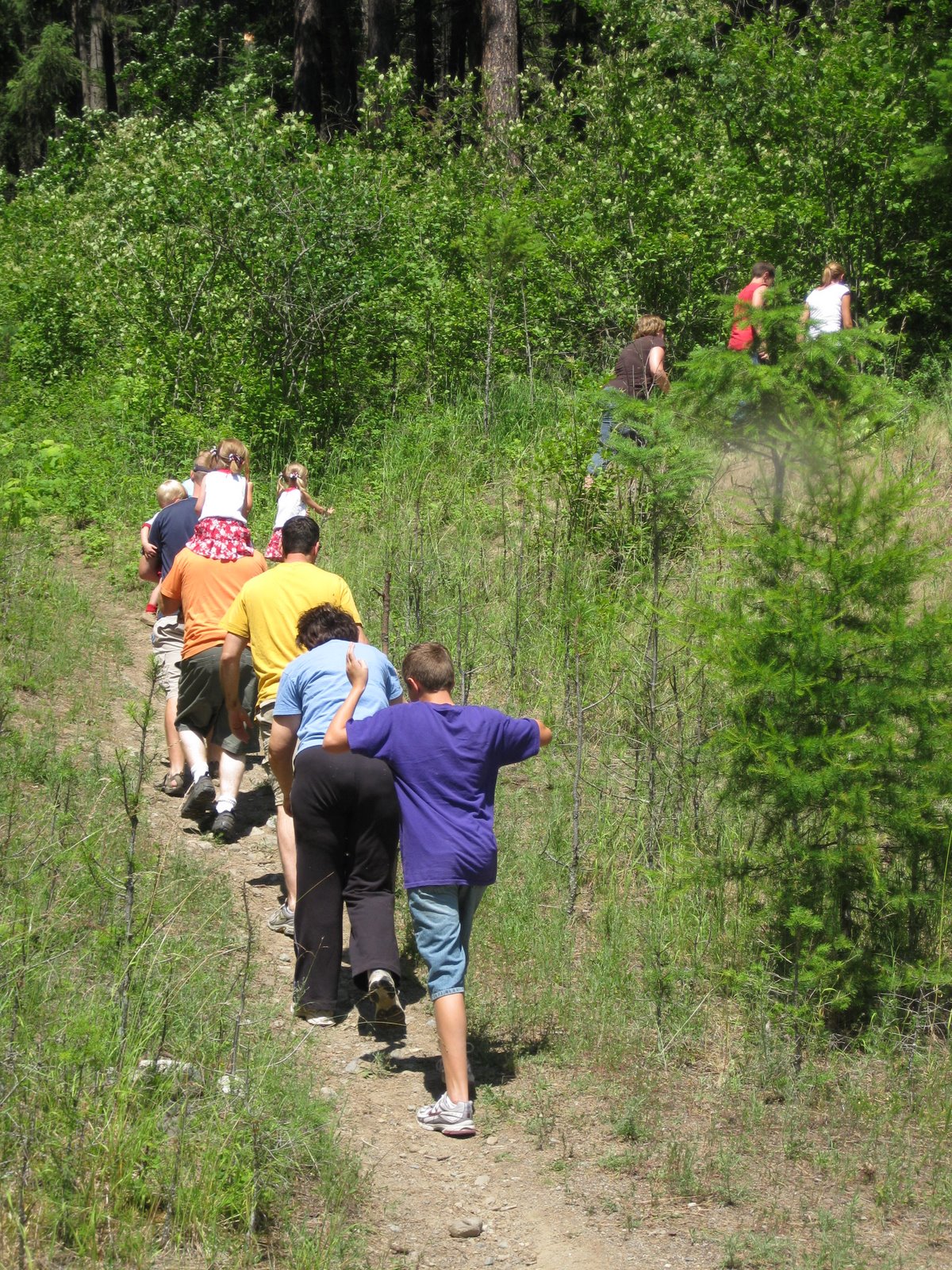 [IMG_0524.JPG]