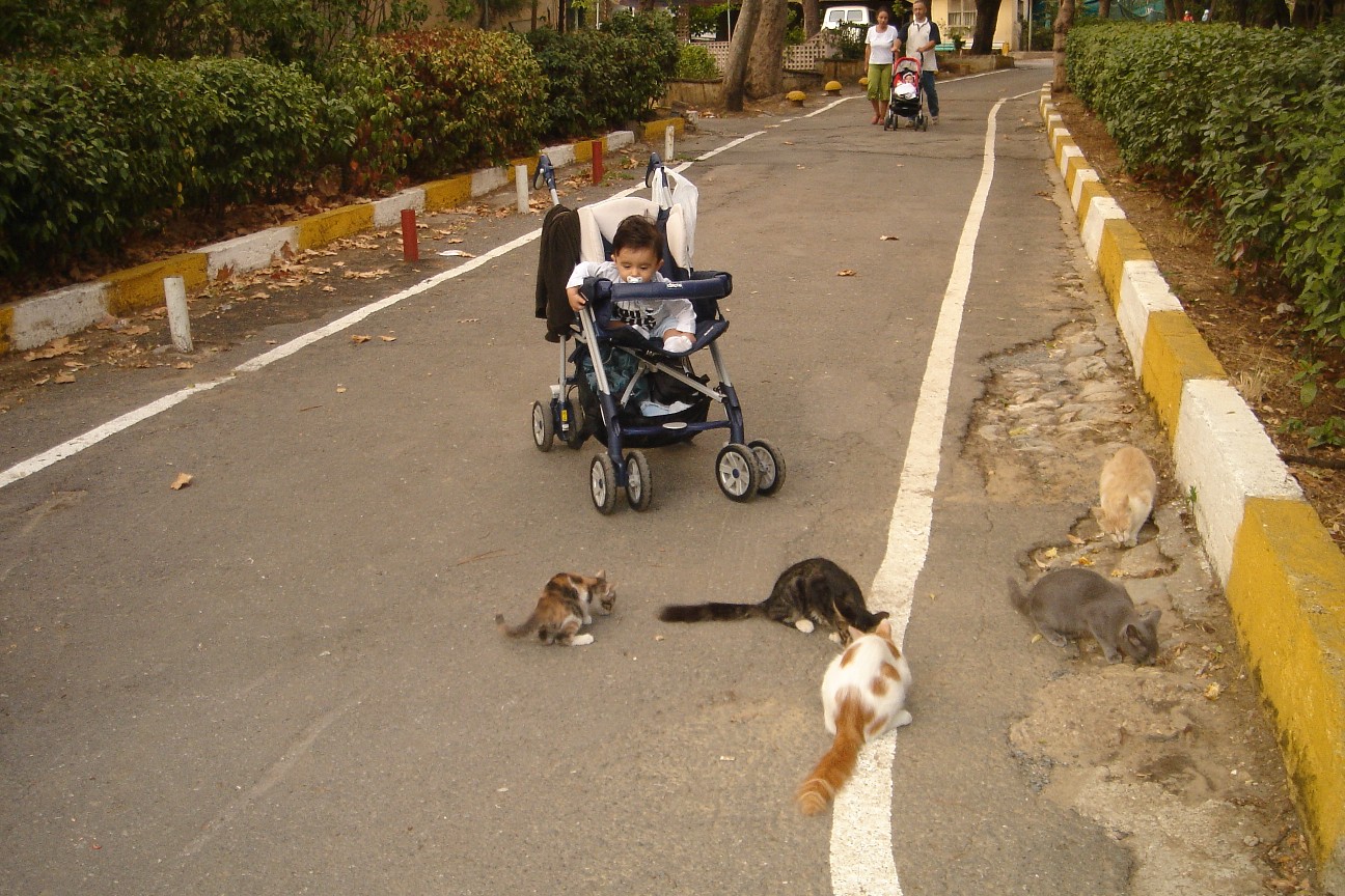 [Copy+of+DSC04410.JPG]