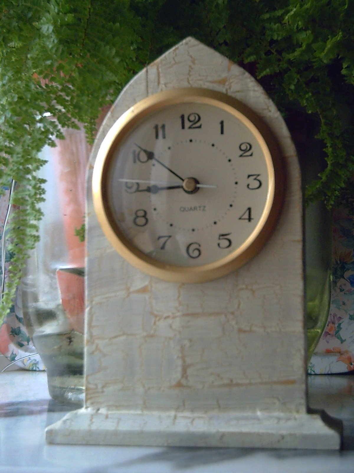 [PICT0261.JPG]