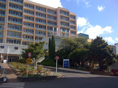 Menzies Building, Waikato Hospital