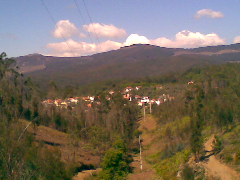 [Img006.jpg]