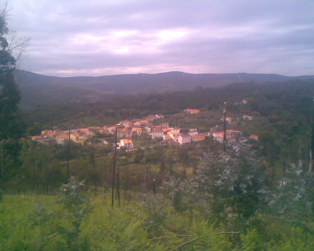 [Img055.jpg]
