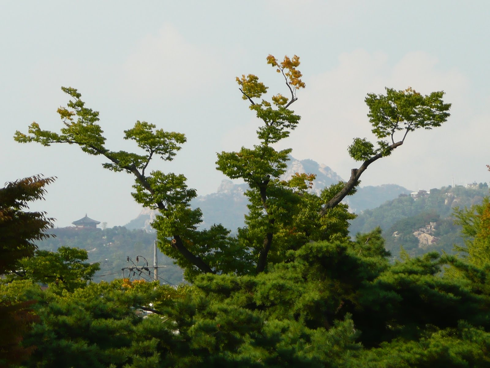 [P1050138.JPG]