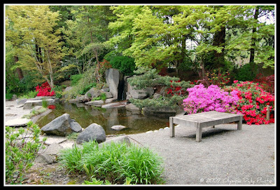 Yashiro Japanese Garden Pond