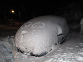 [car+with+snow.jpg]