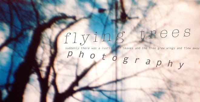 FLYING TREES PHOTOGRAPHY