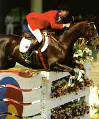 Le sang-chaud belge, cheval de sport remarquable, excelle en dressage et à l'obstacle !