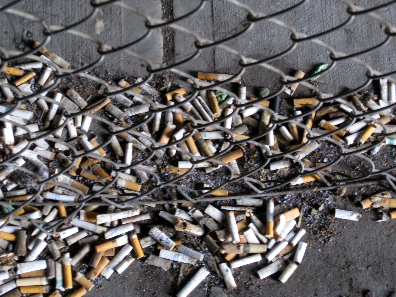 [2009+Chronicles+-17.JPG]