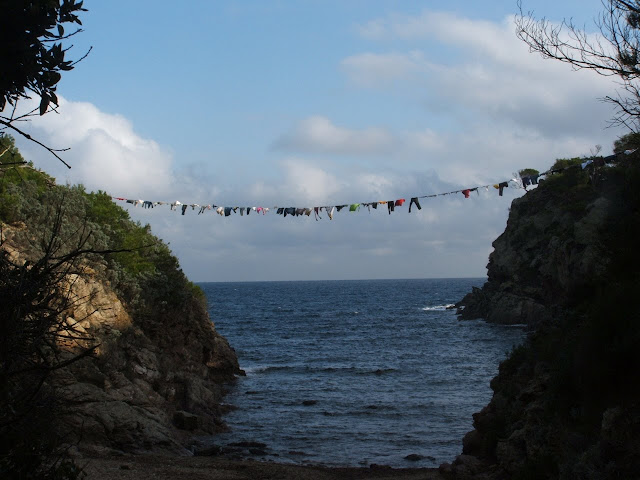 [DSCF1442.JPG]