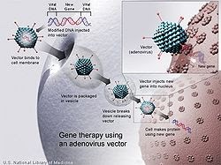 Gene Therapy